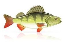 อาหารทะเลสำหรับตับอ่อนอักเสบ